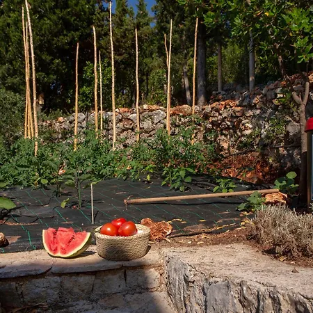 Boo Premium Living Villa Tsoukaládhes